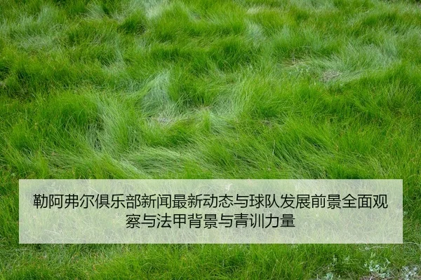 lei-a-fu-er-ju-le-bu-xin-wen-zui-xin-dong-tai-yu-qiu-dui-fa-zhan-qian-jing-quan-mian-guan-cha-yu-fa-jia-bei-jing-yu-3-323.jpg