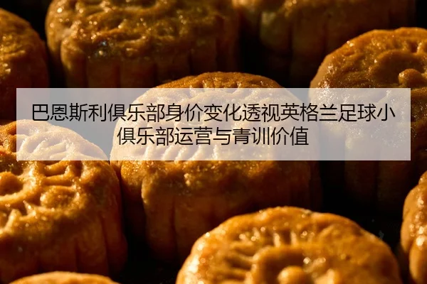 巴恩斯利俱乐部身价变化透视英格兰足球小俱乐部运营与青训价值