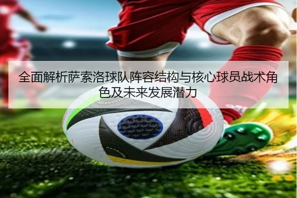 全面解析萨索洛球队阵容结构与核心球员战术角色及未来发展潜力