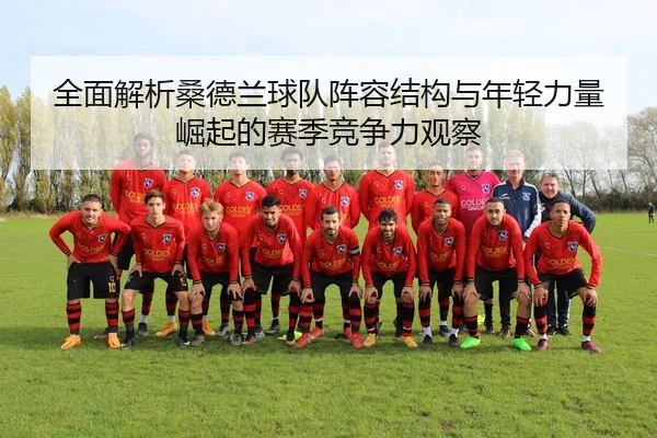 全面解析桑德兰球队阵容结构与年轻力量崛起的赛季竞争力观察
