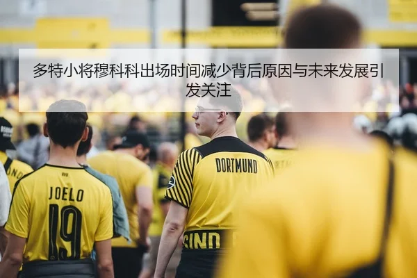 多特小将穆科科出场时间减少背后原因与未来发展引发关注